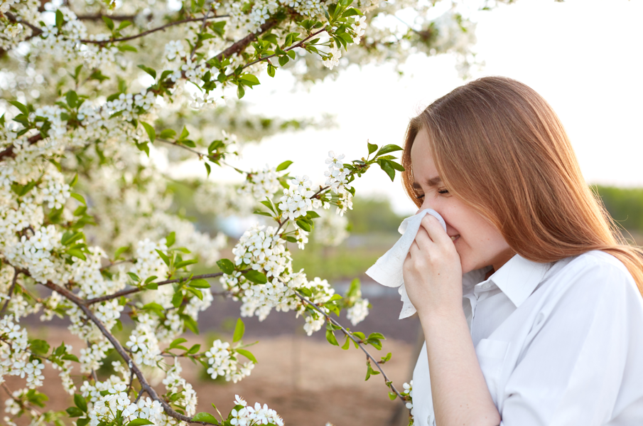 Rinite alérgica: menia com alergia ao pólen.