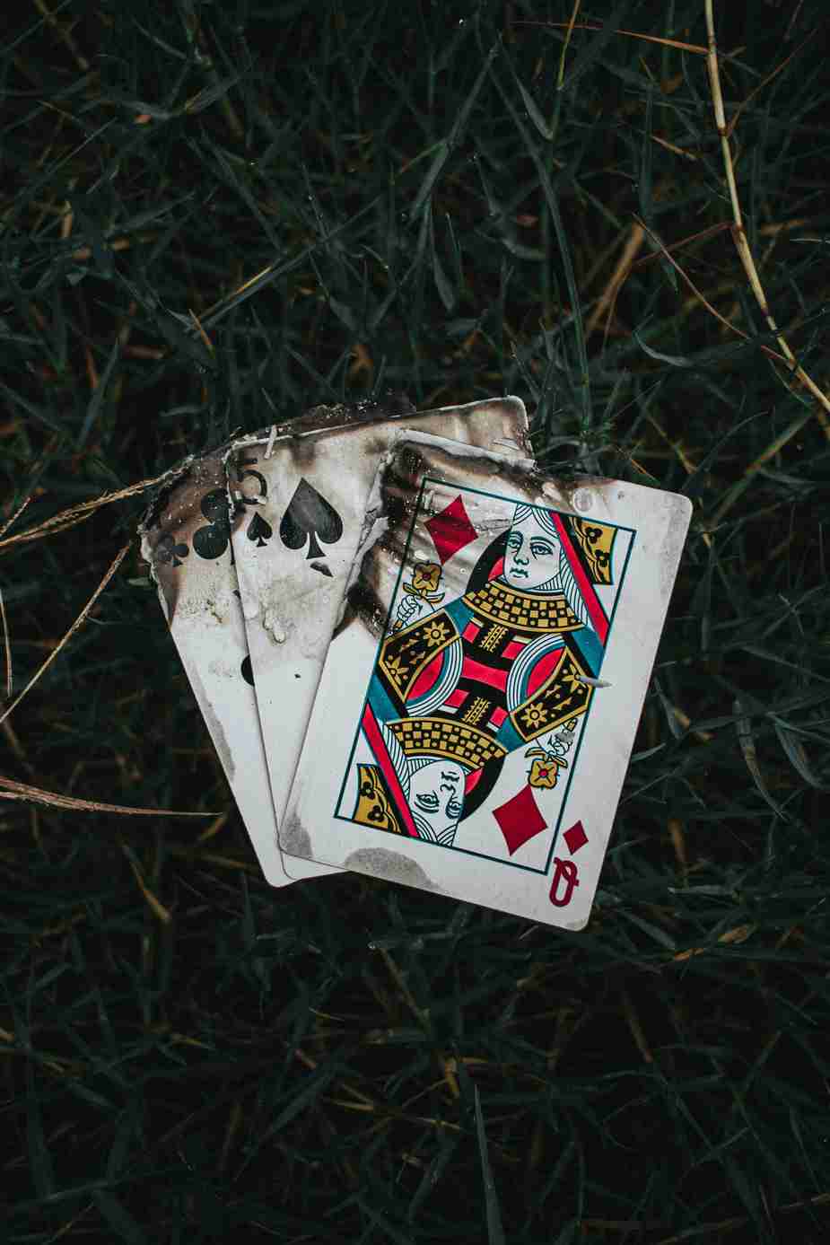 bonza casino bonza casino